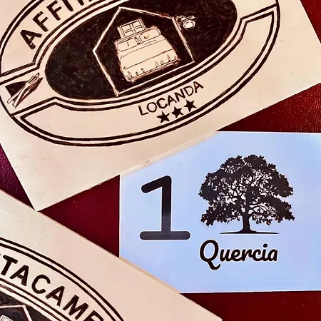 La Della Mandria 2 Venaria Reale