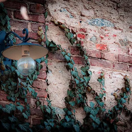 La Della Mandria 2 3*